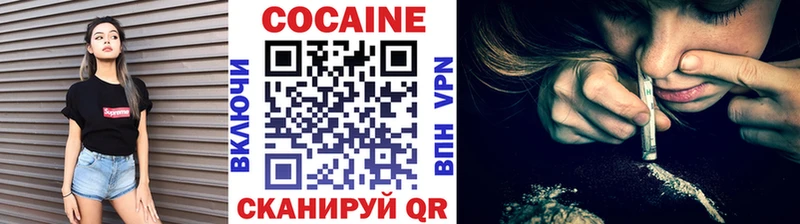Купить закладки  Сурск  COCAIN Fish Scale 