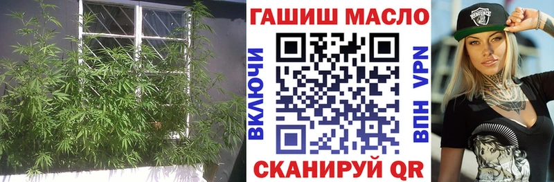 ТГК Wax  Купить где  Сурск 